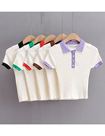 Camiseta De Punto Con Cuello De Polo En Bloques De Color