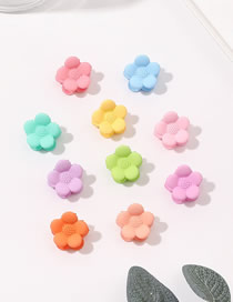 Fashion Frosted Five-petal Flower (10 Pieces) Plastic Frosted Flower Grip Set