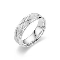 Fashion Silver Titanium Steel Frosted Round Ring