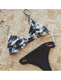 Trendy White+black Tropical Tree Pattern Decorated Simple Design Bikini